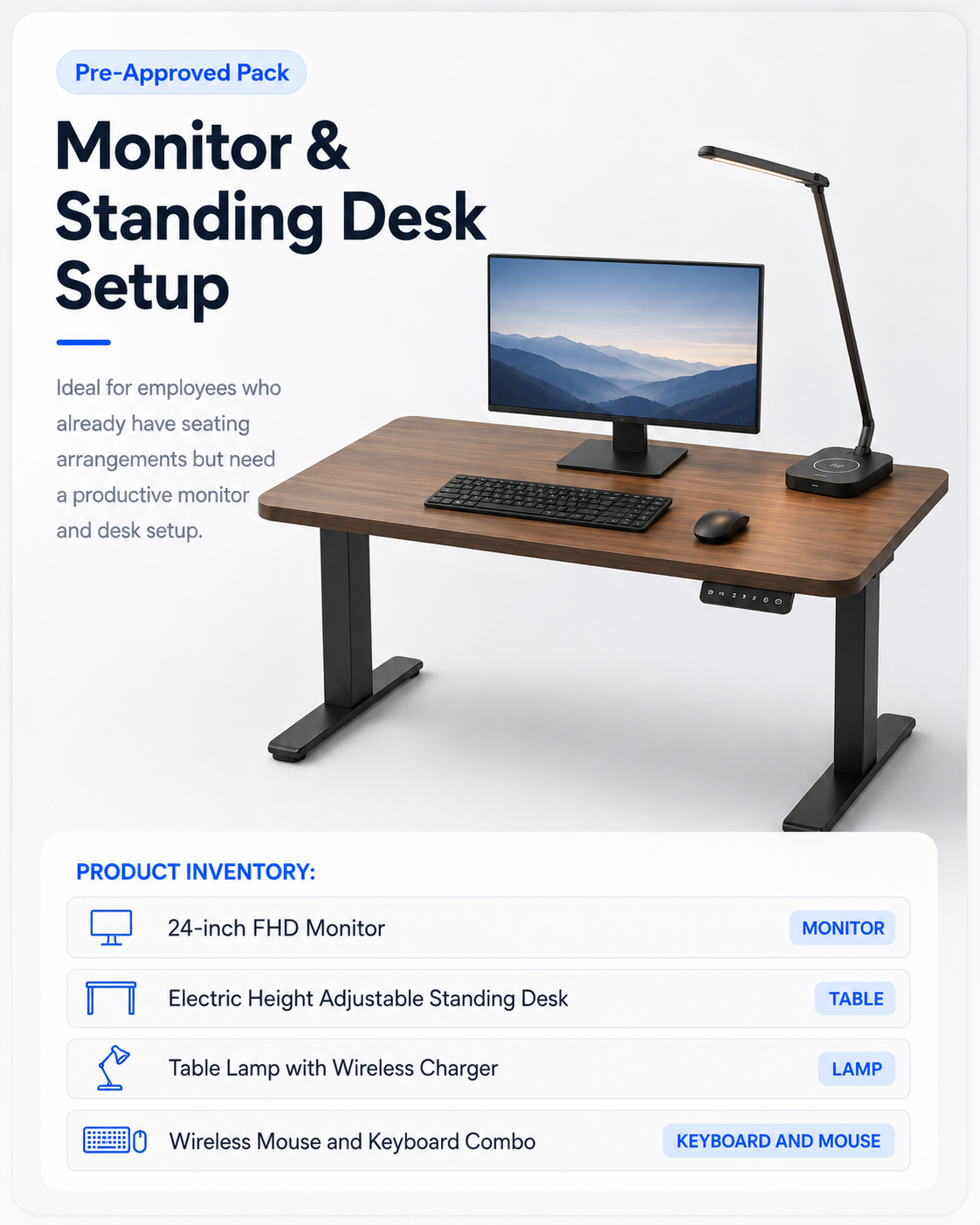 Monitor & Standing Desk Setup